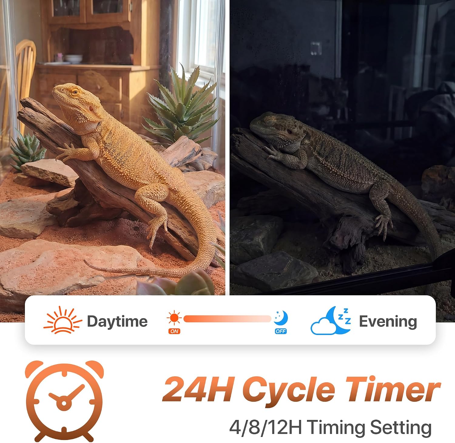 2.5 Gallon Fully Assembled Glas Reptile Enclosure with 8W Dimming LED UVA UVB Reptile Light thumbnail 3