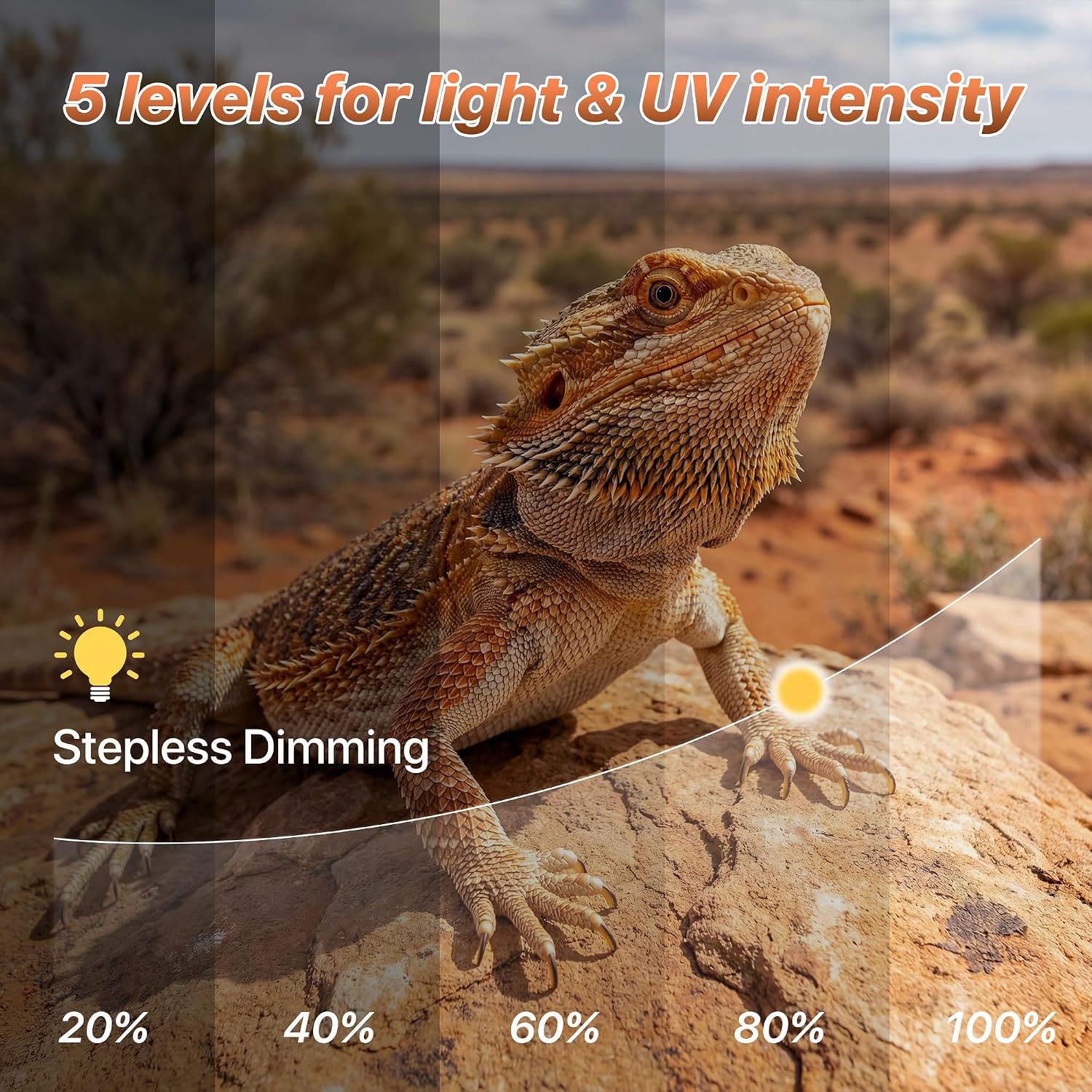 2.5 Gallon Fully Assembled Glas Reptile Enclosure with 8W Dimming LED UVA UVB Reptile Light thumbnail 2
